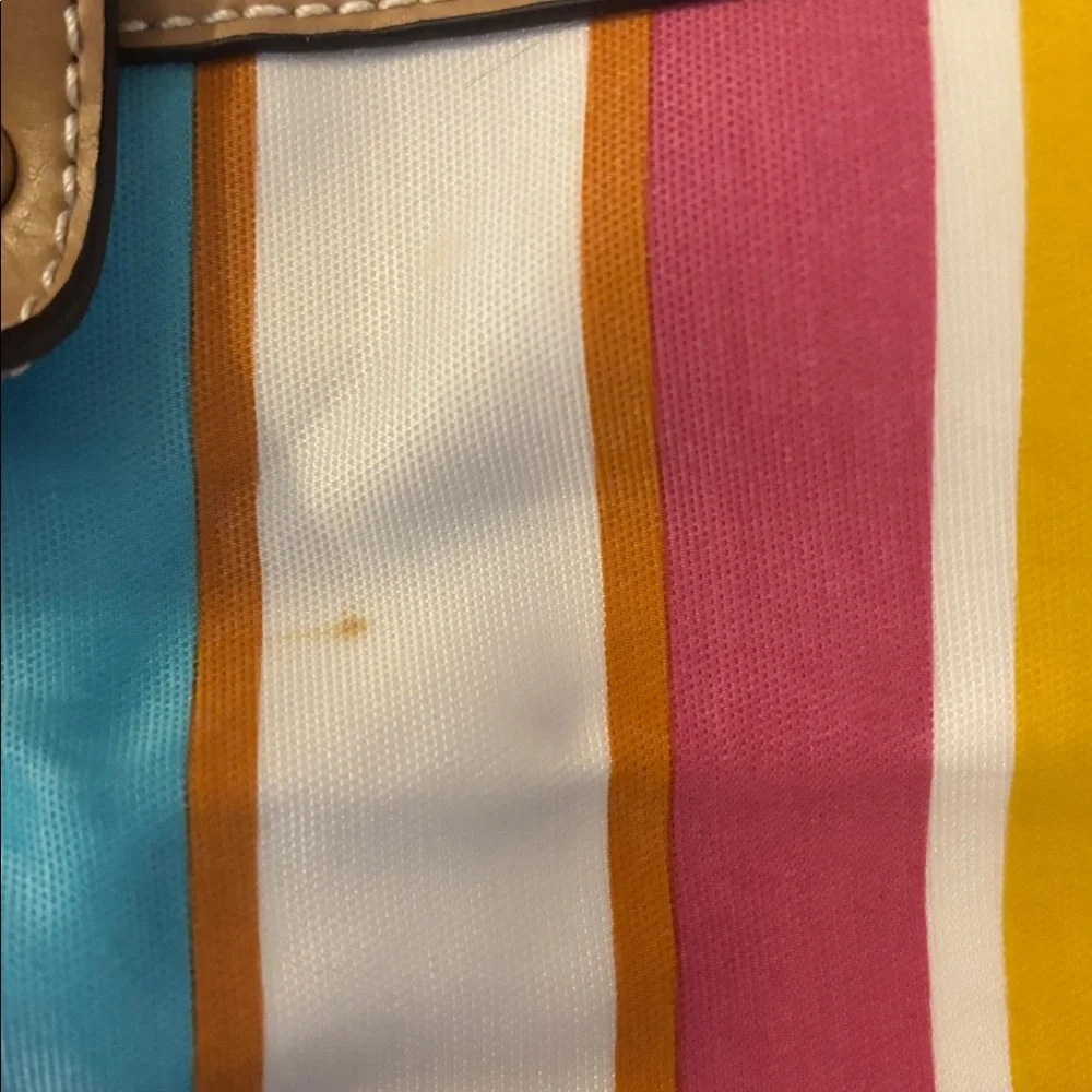 Etienne Aigner Colorful Striped Women's Bag